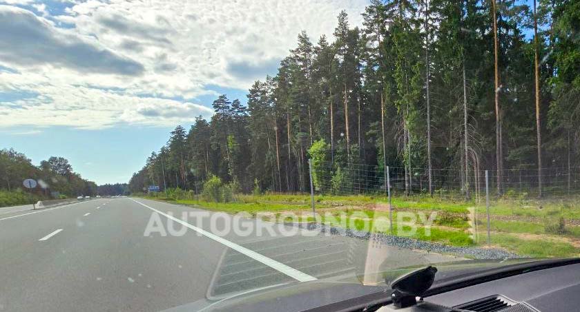 Проход для животных на трассе М6 Минск-Гродно