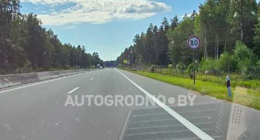 Проход для животных на трассе М6 Минск-Гродно