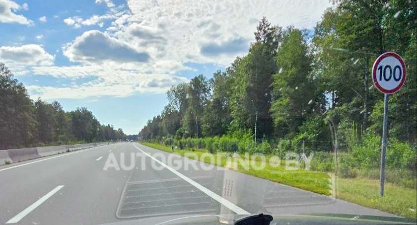 Проход для животных на трассе М6 Минск-Гродно