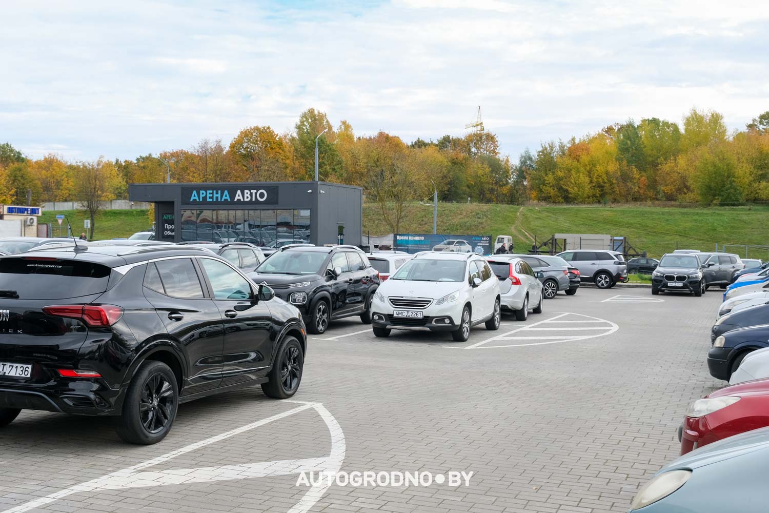 Сравнение лизинга и кредита при покупке автомобиля в Гродно