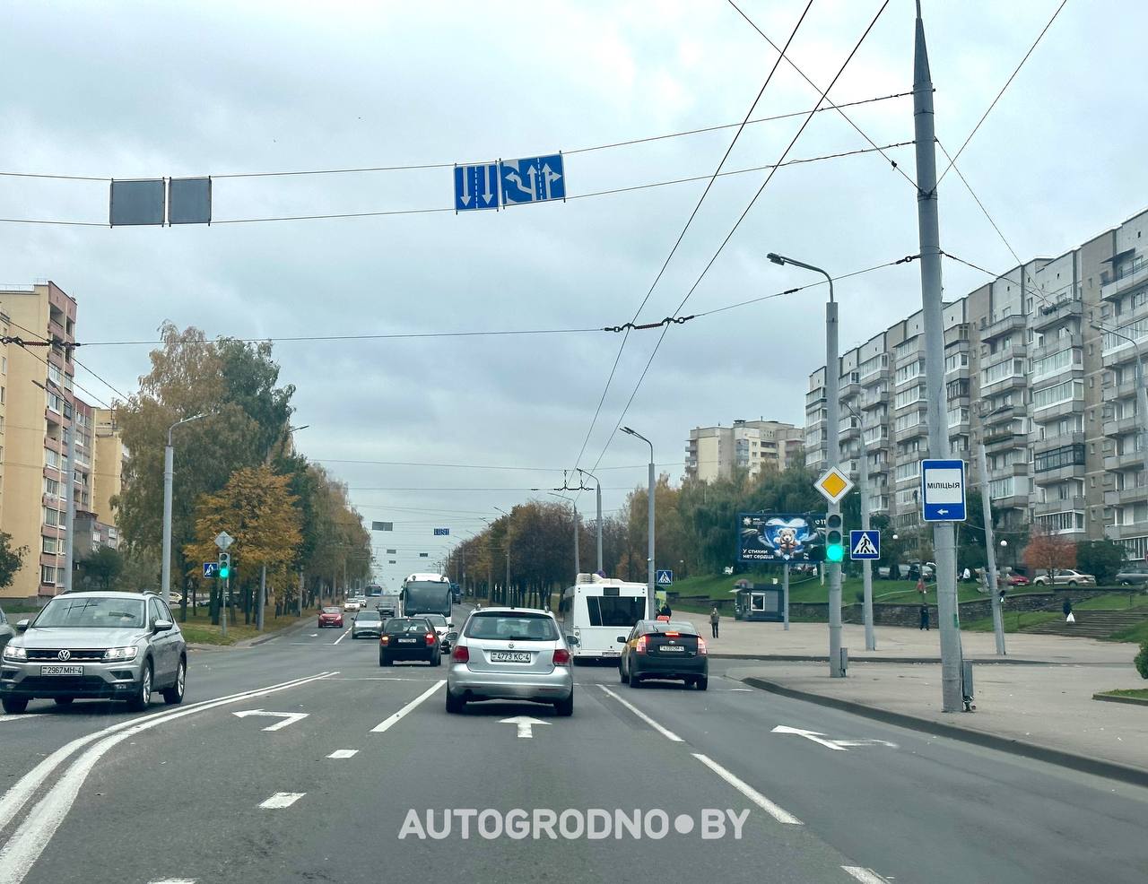 levopovorotnye kupaly 001