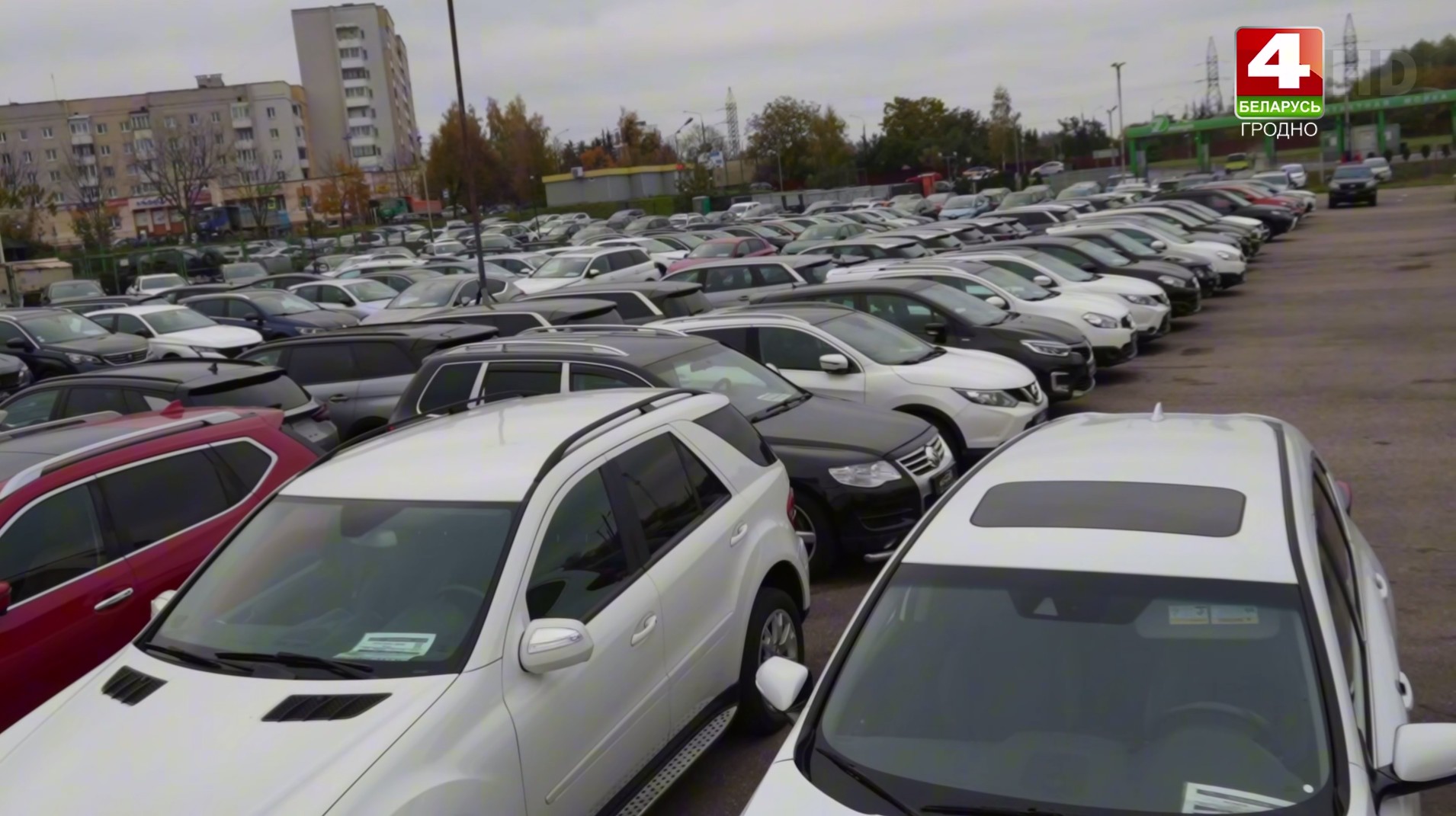 proverka vin grodno 22 10 01