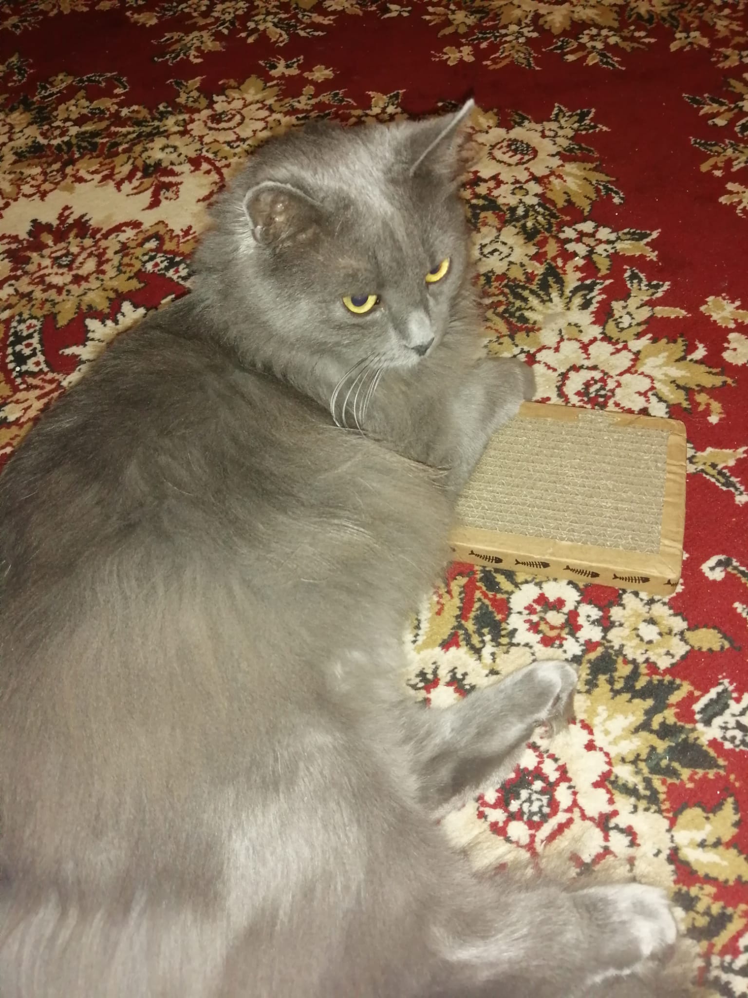 185