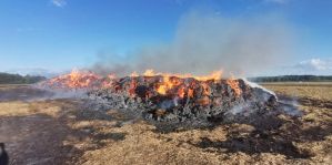 Под Вороново на поле сгорело 57 тонн соломы. МЧС предупреждает: не выбрасывайте окурки из окон автомобилей!