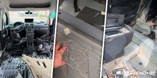В Гродно автомобили начали "неприятно пахнуть" после ливня – что происходит под ковролином, видео