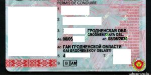В Волковыске водитель пришел в ГАИ заменить фальшивые права. Суд поставил точку в этой истории