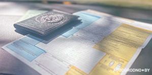 В Беларуси готовят электронный европротокол – не придется заполнять бумажный бланк и рисовать схему