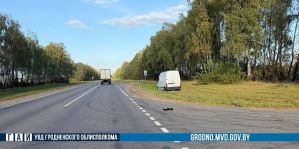 Мужчина выбежал на дорогу, а водитель Renault не успел затормозить. ДТП под Слонимом