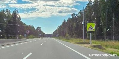 На трассе М6 создали коридор для диких животных – скорость ограничили до 70 км/ч в темное время суток
