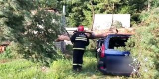 Ночная гроза в Беларуси: спасатели ликвидируют последствия непогоды