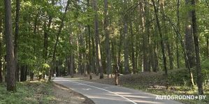 До конца года подсветят "Тропу здоровья" в Гродно. О работе уличного освещения рассказали в "Горсвете"