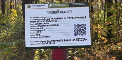 В лесах Беларуси начали массово устанавливать информационные таблички. Что в них?
