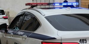 Сбитое животное и поврежденный забор. ГАИ ищет очевидцев майских ДТП