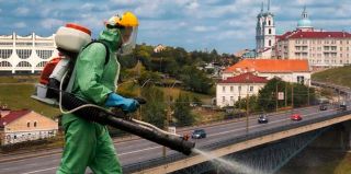 В Гродно начинается летняя обработка от клещей: эти места лучше не посещать 3 дня