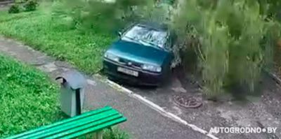 Дерево рухнуло на автомобиль в Гродно: есть видео момента