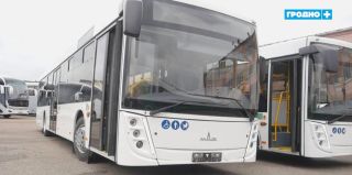 7 новых автобусов выйдут на дороги Гродно и района
