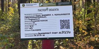 В лесах Беларуси начали массово устанавливать информационные таблички. Что в них?