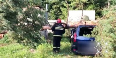Ночная гроза в Беларуси: спасатели ликвидируют последствия непогоды