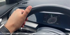 На трассе М6 появятся "умные" системы предупреждения о диких животных