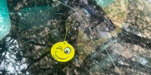 На Соломовой из окна выбросили бутылку: с пятого этажа – прямо на BMW