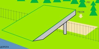 Как вернуть диких животных с трассы М6 обратно в лес? Идея гродненца