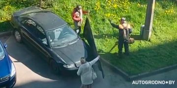 Превью фото к статье "Жирный лайк": гродненка засняла, как сотрудники ЖЭСа косили траву у нее во дворе...