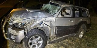 Животное против Hyundai: 19-летняя водитель ушла от удара в кювет. Пострадал пассажир