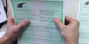 Кто до сих пор может предъявлять на белорусской границе "зеленую карту"?