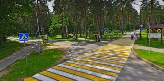 В Гродно начинают обработку от клещей. Смотрите где