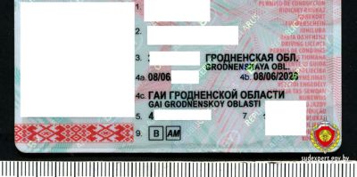 В Волковыске водитель пришел в ГАИ заменить фальшивые права