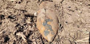 На поле под Гродно мужчина нашел авиабомбу. Он сделал все правильно – никто не пострадал. Находка потянула на 50 кг