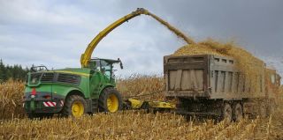 Можно ли в Беларуси использовать служебный транспорт в личных целях? Проверки прокуратуры Гродненщины