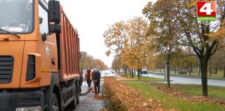 В Гродно впервые вывели на улицы уникальный мусоровоз-пылесос для уборки листьев