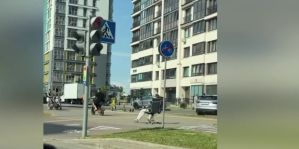 "Ууиииууу!" Водитель электромопеда прокатил приятеля на офисном кресле по улице