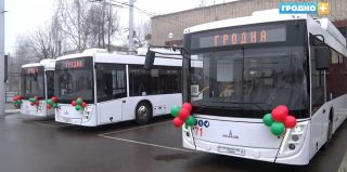 В Гродно закупили 14 новеньких троллейбусов, из них 3 – учебных. В них не будет входа через переднюю дверь