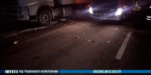 Видео: в очереди на границе фура сбила иностранца. Он решился прогуляться по дороге без фликеров