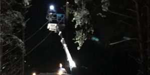 В Беларуси из-за налипания снега повреждаются линии электропередач. Энергетики предупреждают: "Не подходите к ним ближе 8 метров"