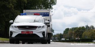 Повреждения авто и сбитая косуля — кто это сделал? ГАИ Гродно ищет свидетелей и очевидцев ДТП