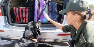 ТОП-3 товаров из-за границы, которые везут белорусы. Информация Белстата