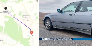 Почувствовал удар в левую заднюю дверь: на дороге – косуля. Утреннее ДТП под Гродно