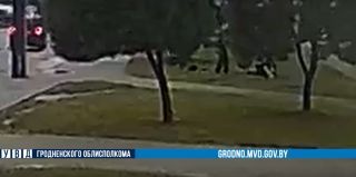 В Гродно подростки избили взрослого за то, что тот отказался купить им алкоголь. Подробности