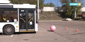 Необычный футбольный матч прошёл в Гродно: мяч гоняли автобусы. Так выбирают лучших водителей