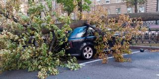 3 года шло разбирательство по упавшему на авто дерево: суд признал коммунальщиков виновными