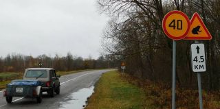 Водителей просят снижать скорость на некоторых дорогах. Все из-за " "миграционных коридоров"