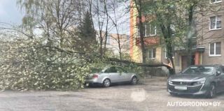 Более 60 раз выезжали спасатели МЧС устранять последствия сильного ветра в Беларуси