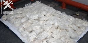 154 кг "дизайнерского"психотропа на $10 млн изъяли таможенники в "Брузгах". За рулем польского грузовика находился белорус
