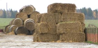 Украл корм – лишился автомобиля: итоги дела о хищении в Гродненском районе