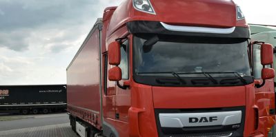 Белорусский дальнобойщик спрятал солярку в лесу: думал, что сэкономит. Но пришлось заплатить штраф